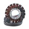 Rmstator Kit High Output Stator 300 W + Crankcase Cover Gasket for Yamaha YFM 660 R Raptor 2001-2005 RM01013G - alternate 3
